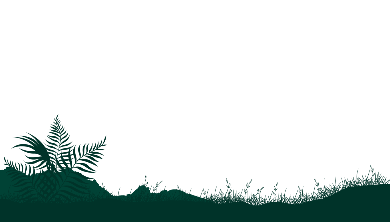 hill